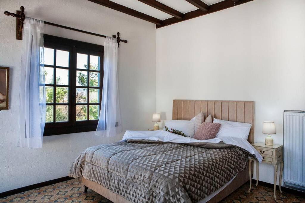 Villa Velissarios: wonderful villa next to beach Aegina Esterno foto