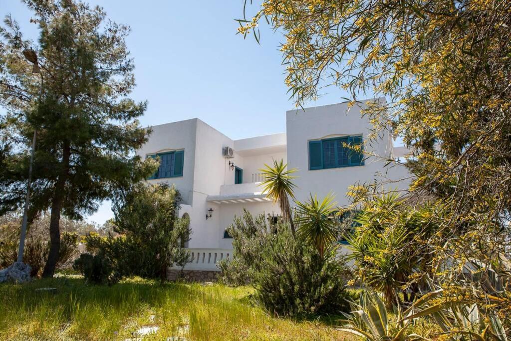 Villa Velissarios: wonderful villa next to beach Aegina Esterno foto