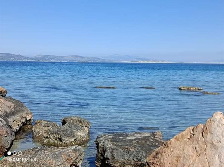 Villa Velissarios: wonderful villa next to beach Aegina Esterno foto
